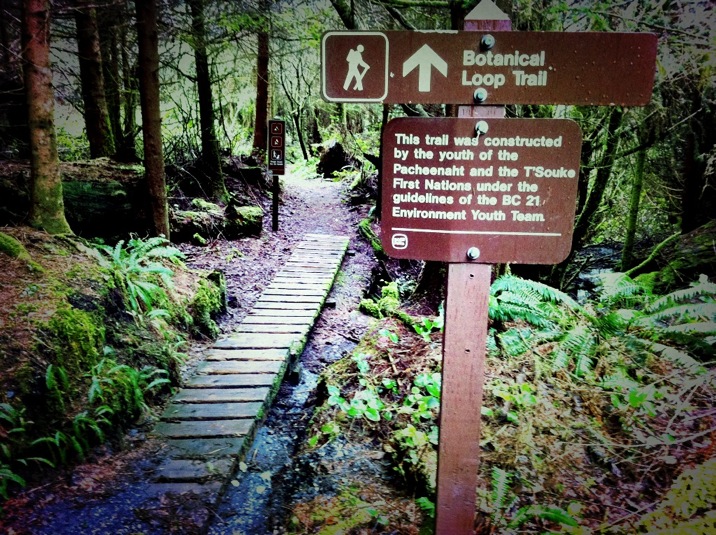 botanical beach, juan de fuca provincial park, port renfrew, british columbia, canada