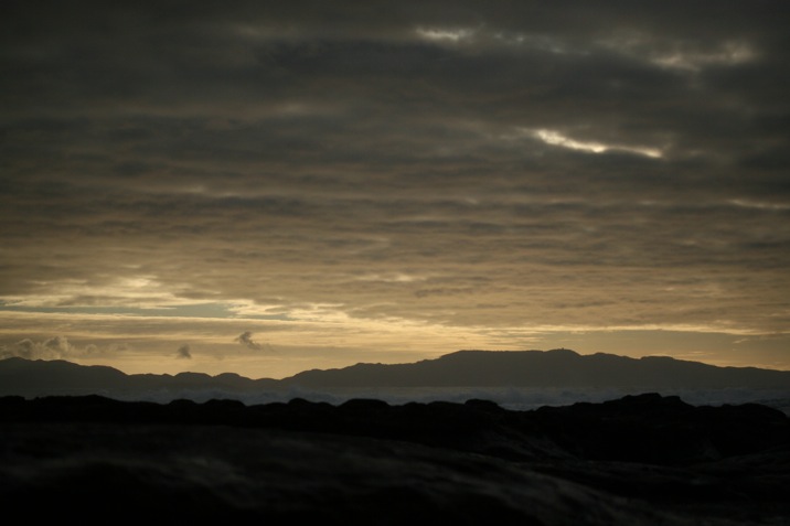 botanical beach, juan de fuca provincial park, port renfrew, british columbia, canada