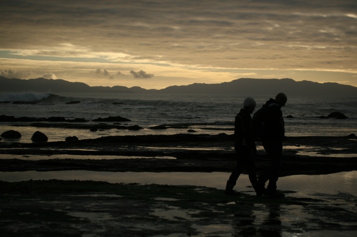 botanical beach, juan de fuca provincial park, port renfrew, british columbia, canada