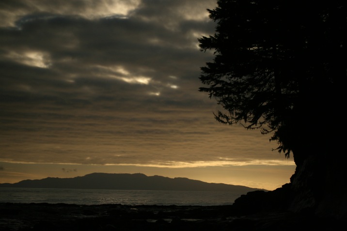 botanical beach, juan de fuca provincial park, port renfrew, british columbia, canada