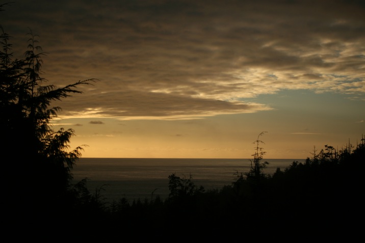 botanical beach, juan de fuca provincial park, port renfrew, british columbia, canada