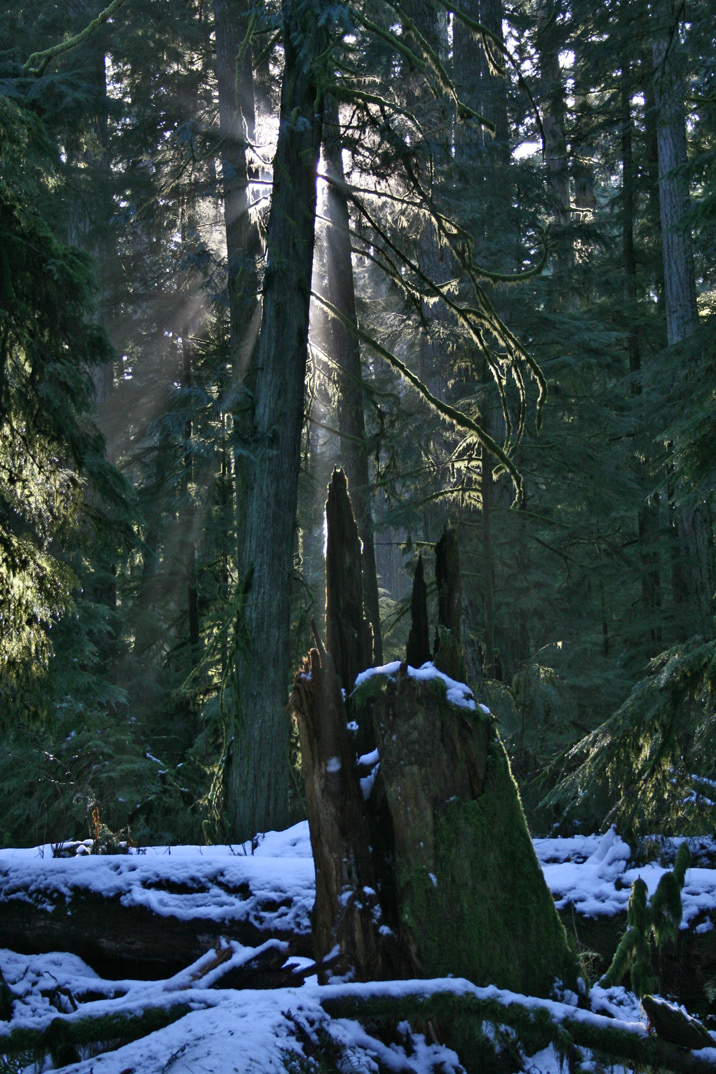 tofino trip winter 2007