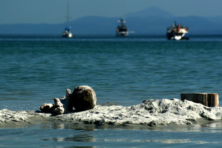 hornby island, labour day, 2006