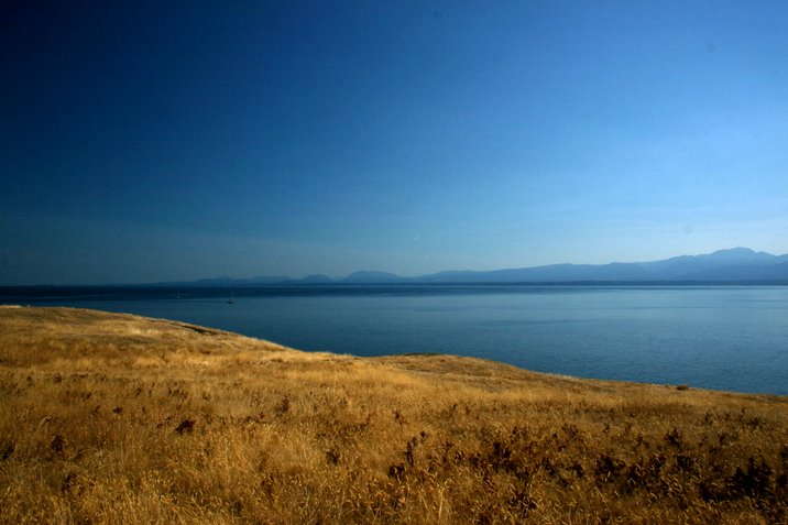 hornby island, labour day, 2006