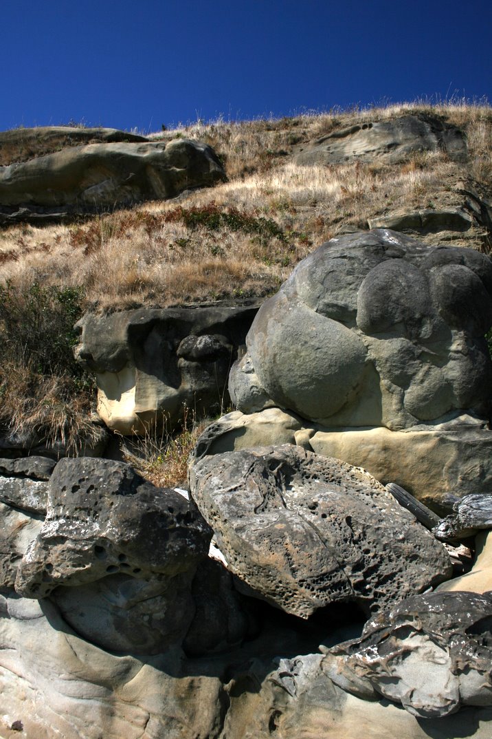 hornby island, labour day, 2006