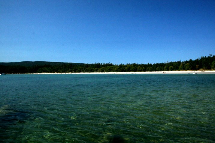 hornby island, labour day, 2006