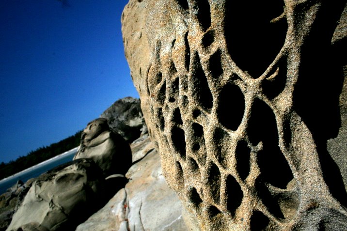 hornby island, labour day, 2006