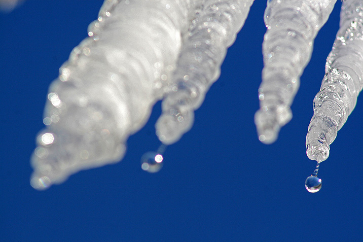 icicle2007.jpg