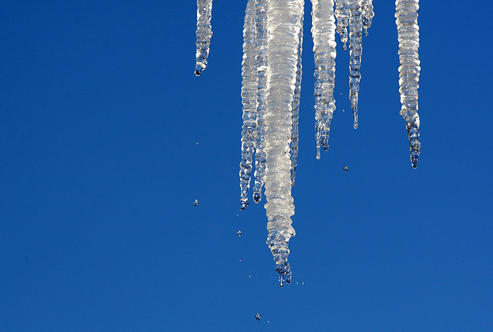 icicle2007_2.jpg