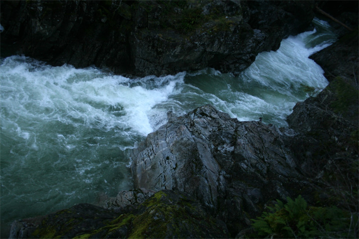 tofino trip winter 2007