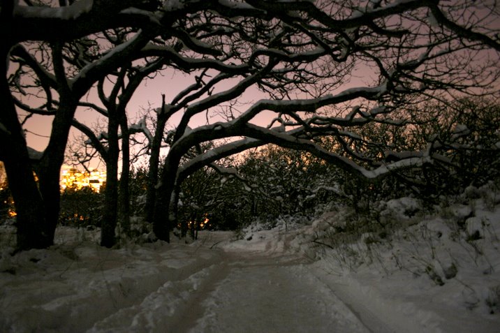 victoria in november snow