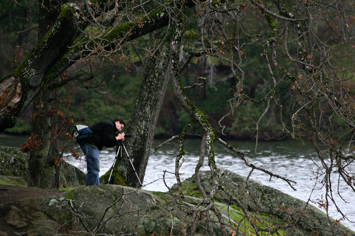 photogroffee gorge