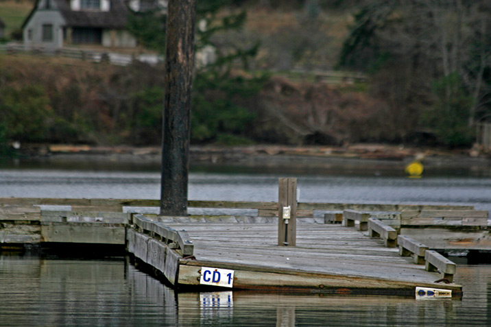 photogroffee saltspring