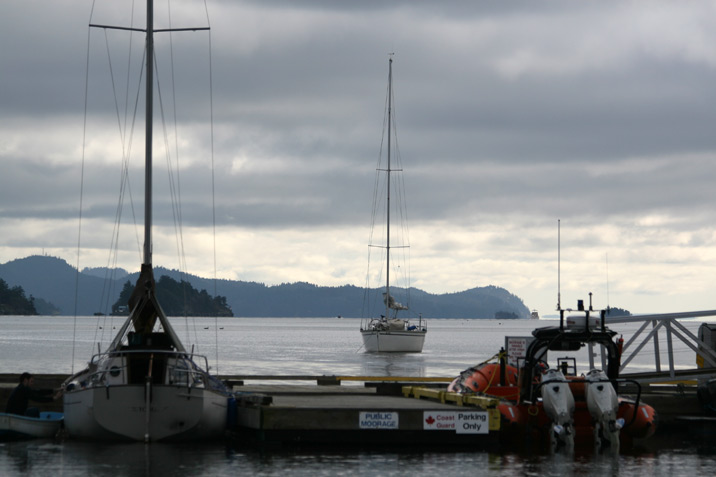 photogroffee saltspring