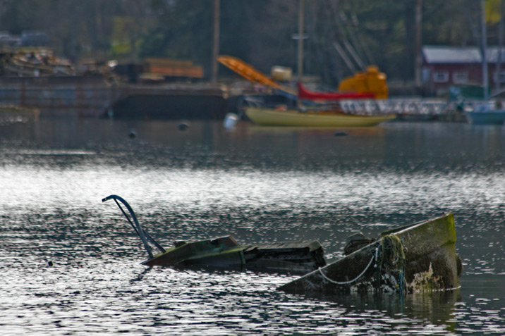 photogroffee saltspring