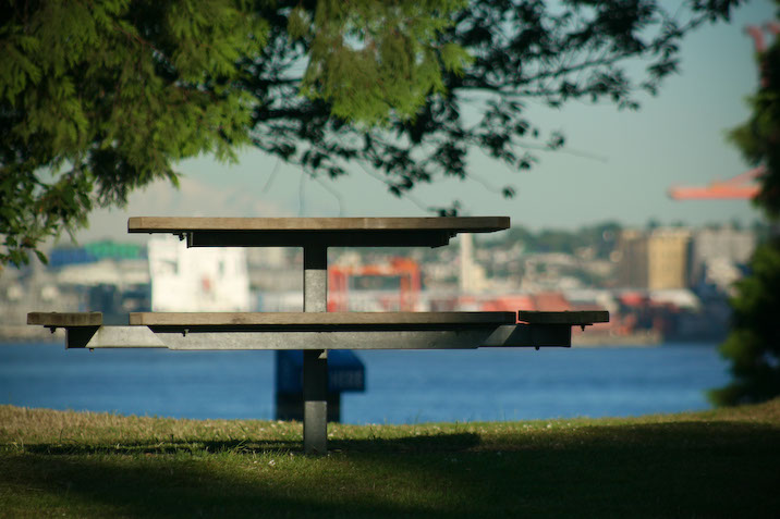 picnic.jpg