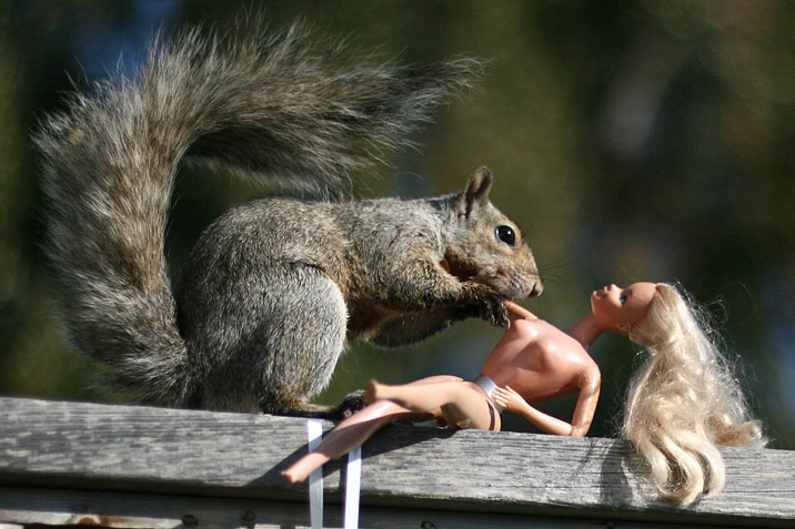 squirrel barbie