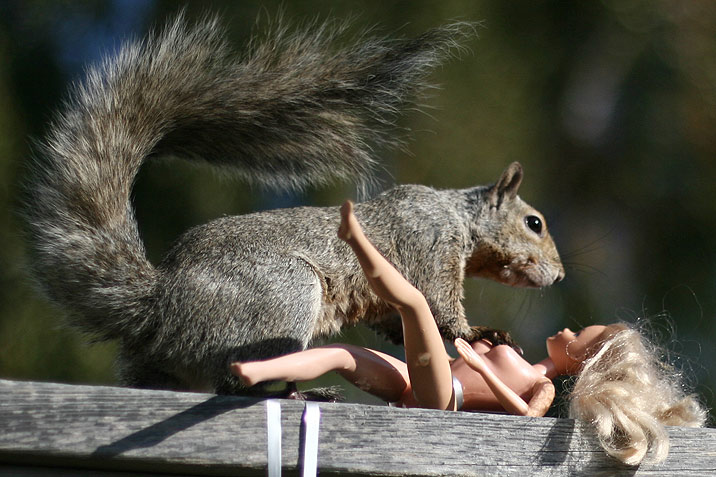 squirrel barbie